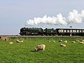 Visiting 70000 Britannia steams away from Blue Anchor