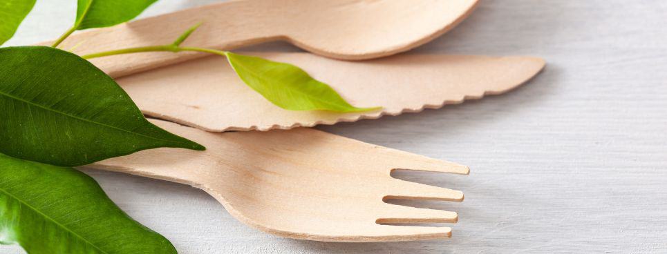 alternative cutlery