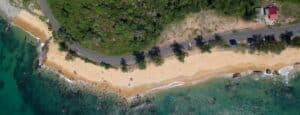Aerial-View-of-Ocean-and-Trees