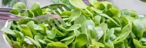 green-vegetables-on-plate